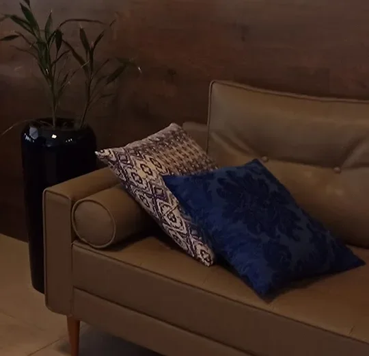 O sofá da sala do Dr. Marcus, com duas almofadas azuis e uma planta ao lado